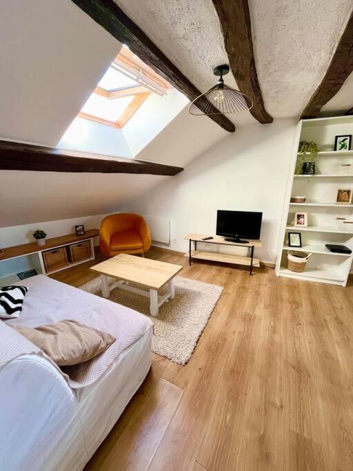 Appartement Cosy Hypercentre Place St Pierre Сомюр Экстерьер фото